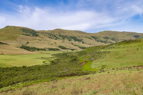 ​Lodge Experiences​ | Rosesands Mountain Lodge