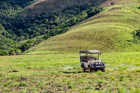 ​Lodge Experiences​ | Rosesands Mountain Lodge