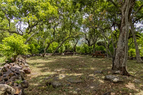 ​Lodge Experiences​ | Rosesands Mountain Lodge