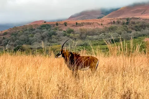 ​Lodge Experiences​ | Rosesands Mountain Lodge