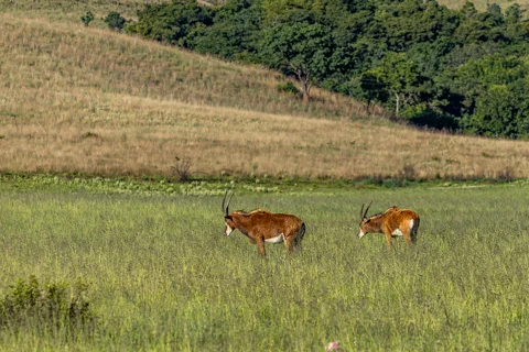 ​Lodge Experiences​ | Rosesands Mountain Lodge