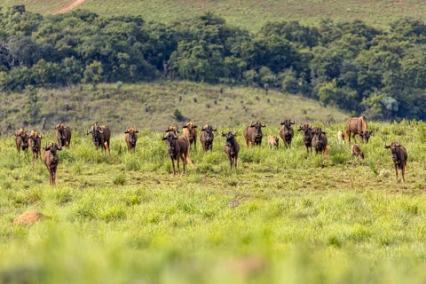 ​Lodge Experiences​ | Rosesands Mountain Lodge