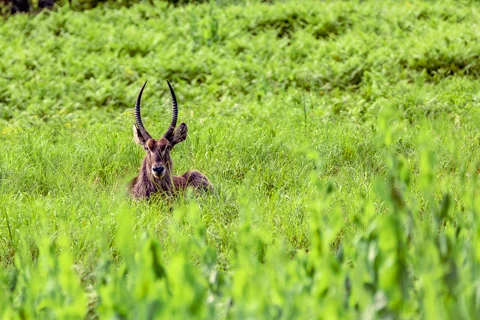 ​Lodge Experiences​ | Rosesands Mountain Lodge