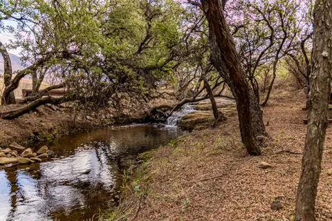 ​Lodge Experiences​ | Rosesands Mountain Lodge
