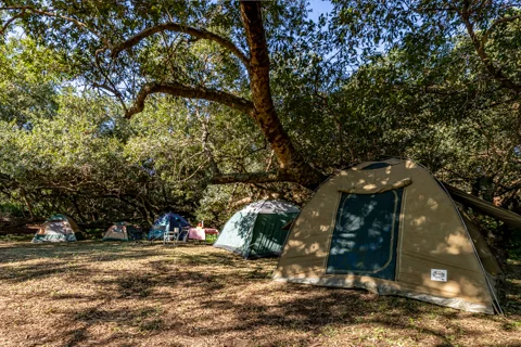 Comatie River Camp | Rosesands Mountain Lodge