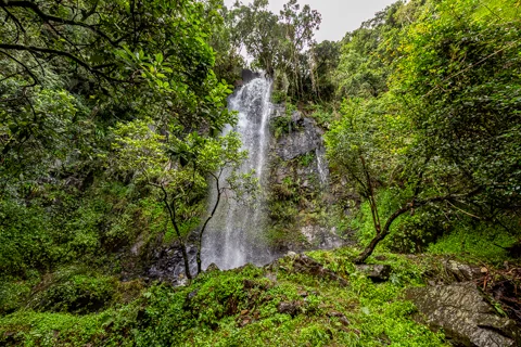 Comatie Waterfall Camp | Rosesands Mountain Lodge