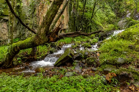 Comatie Waterfall Camp | Rosesands Mountain Lodge